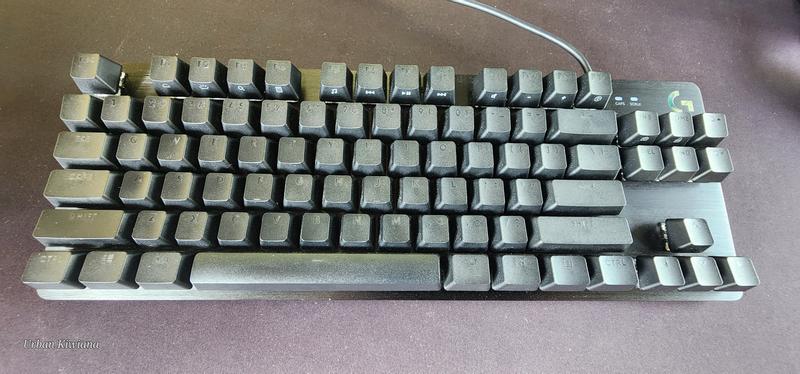 Logitech G413 TKL SE Mechanical Gaming Keyboard with Tactile Switches, PBT Keycaps, White Backlighting