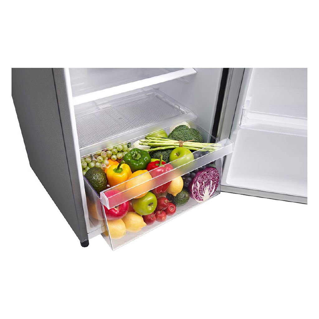 LG 194L Platinum Silver One Door Refrigerator, Efficient Inverter Compressor, Moist Crisper